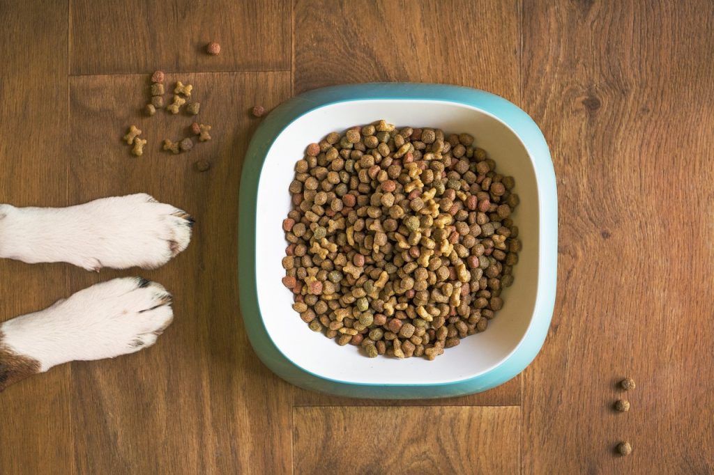 Dog Food 5168940 1280 1 1024x682