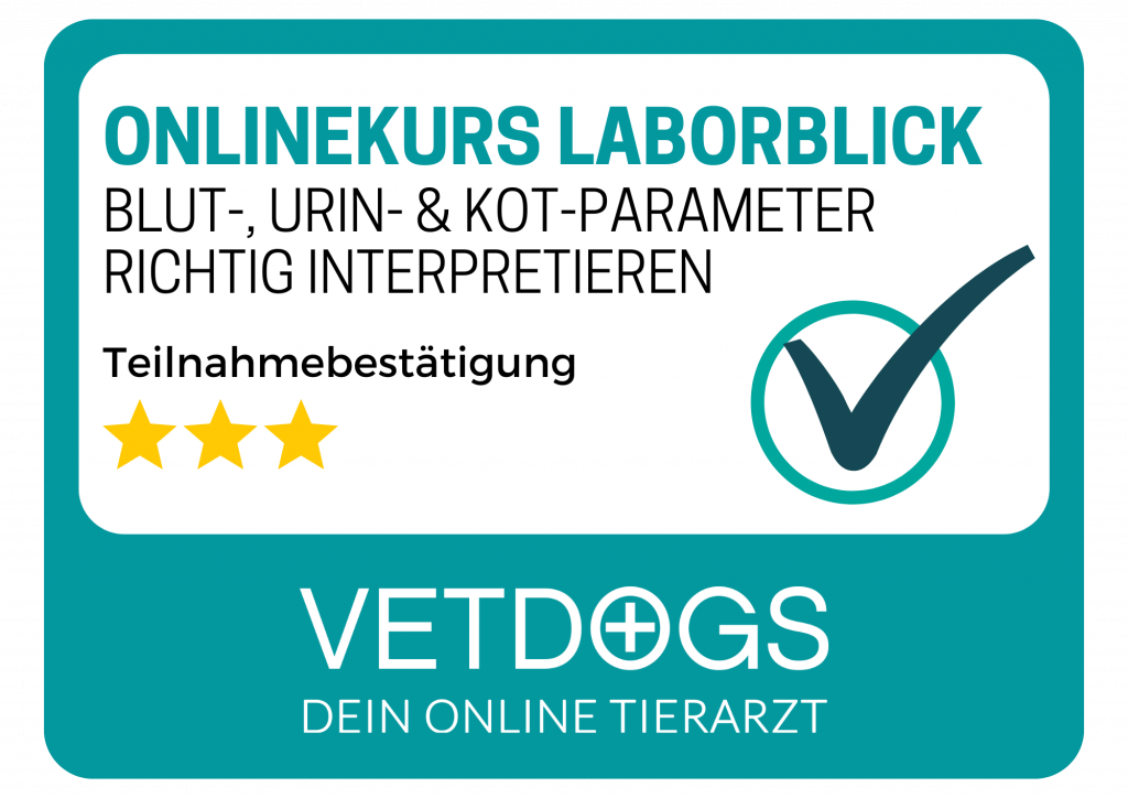 siegel laborblick vet dogs
